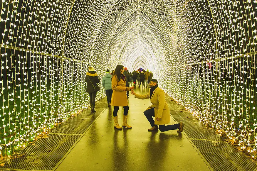 Proposal photography at Kew Gardens