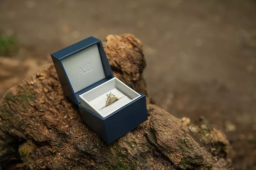 Proposal photography at Kyoto Gardens