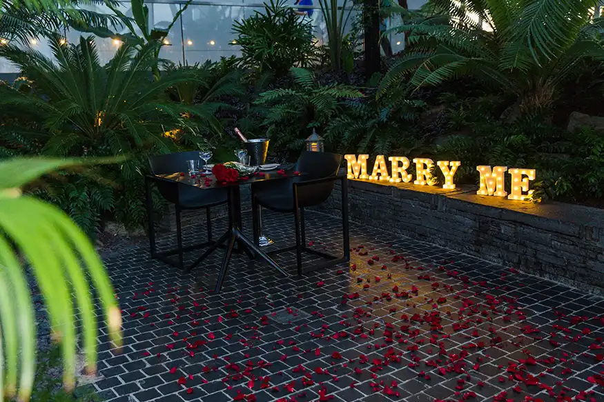 Proposal photography at The Sky Garden